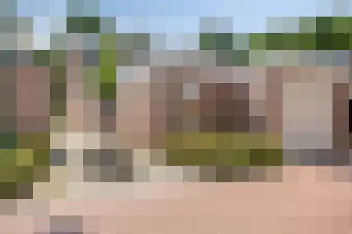 Brouwersbos 44 Cuijk thumbnail 41