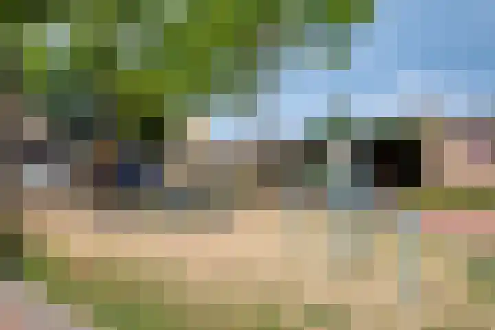 Brouwersbos 44 Cuijk thumbnail 42