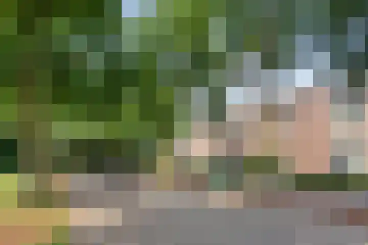 Brouwersbos 44 Cuijk thumbnail 6