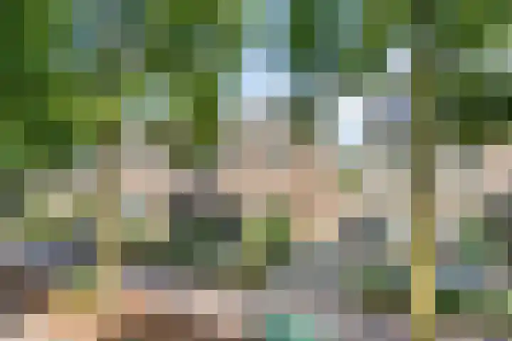 Brouwersbos 44 Cuijk thumbnail 7
