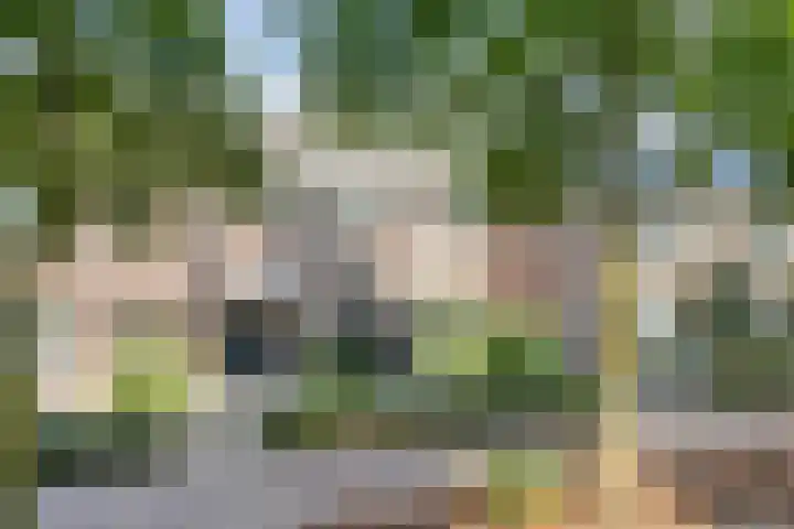 Brouwersbos 44 Cuijk thumbnail 8