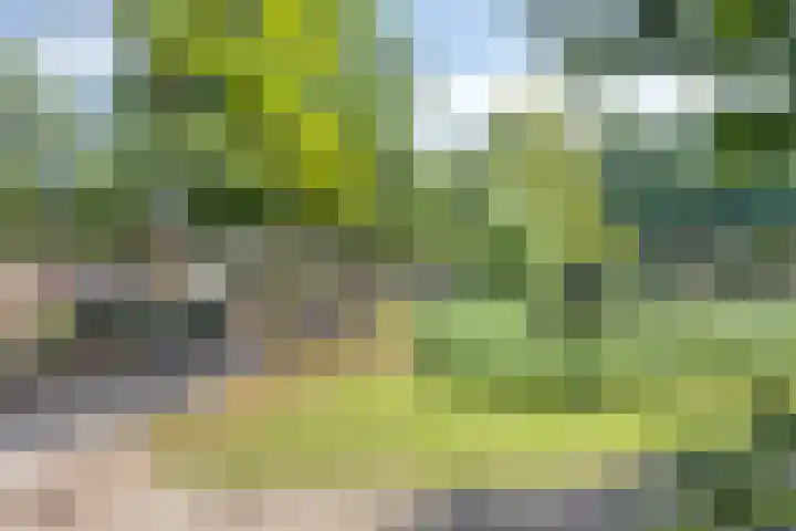 Brouwersbos 44 Cuijk thumbnail 9