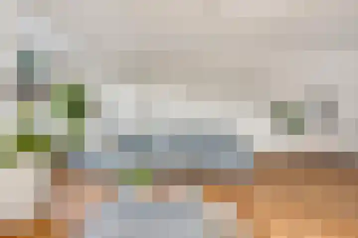 Brouwersbos 78 Cuijk thumbnail 13