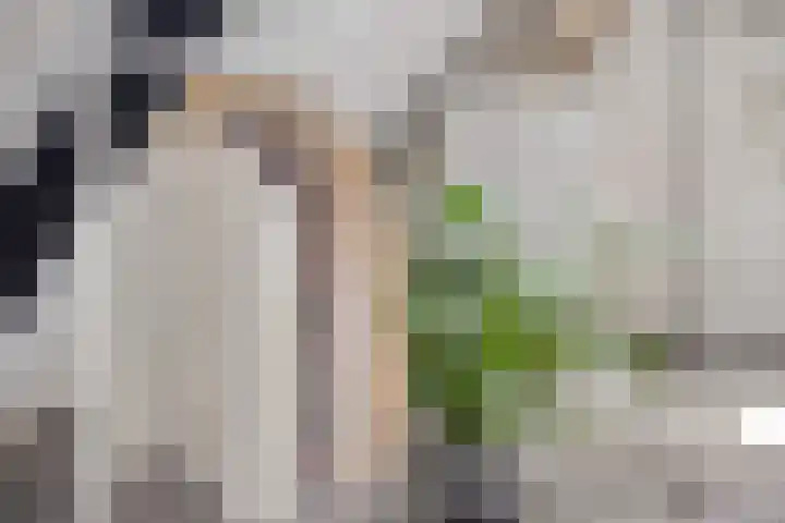 Brouwersbos 78 Cuijk thumbnail 17