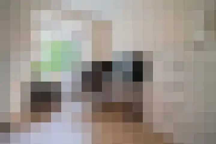 Brouwersbos 78 Cuijk thumbnail 20