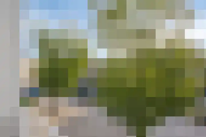 Brouwersbos 78 Cuijk thumbnail 24