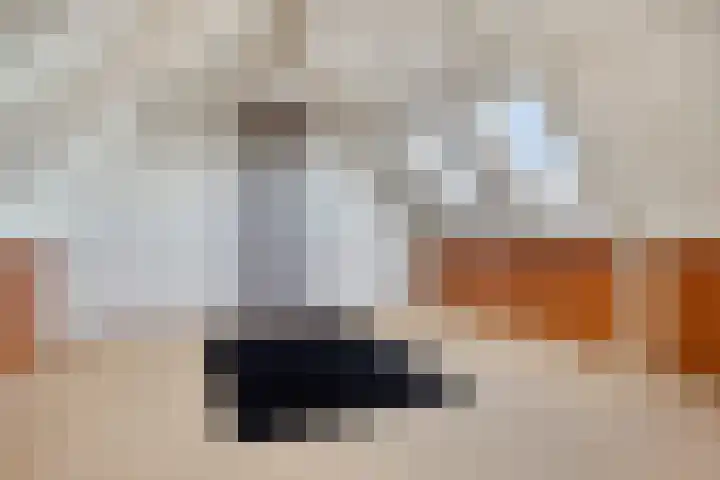 Brouwersbos 78 Cuijk thumbnail 30