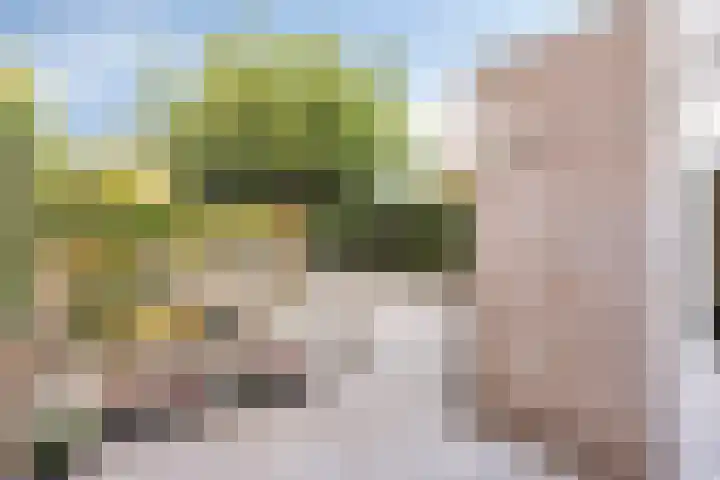 Brouwersbos 78 Cuijk thumbnail 32