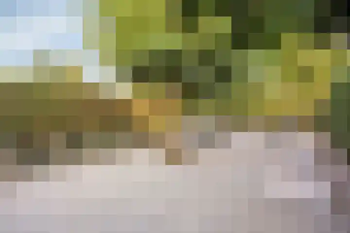 Brouwersbos 78 Cuijk thumbnail 34