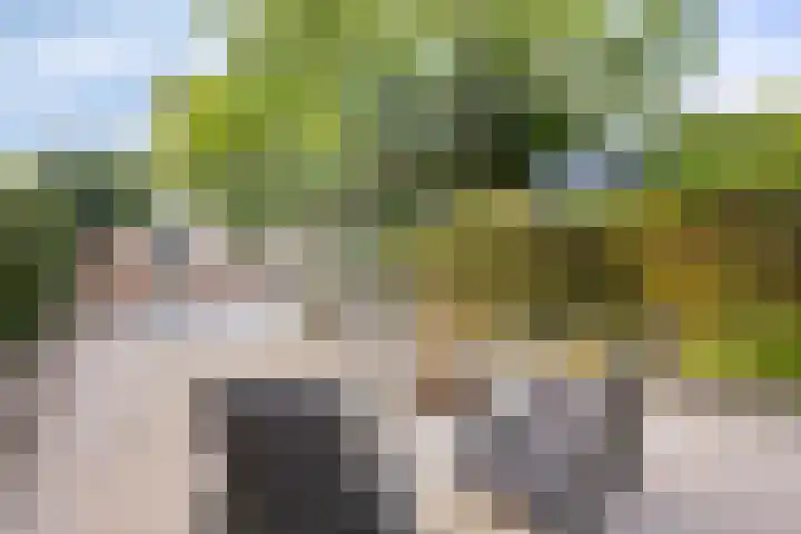 Brouwersbos 78 Cuijk thumbnail 35