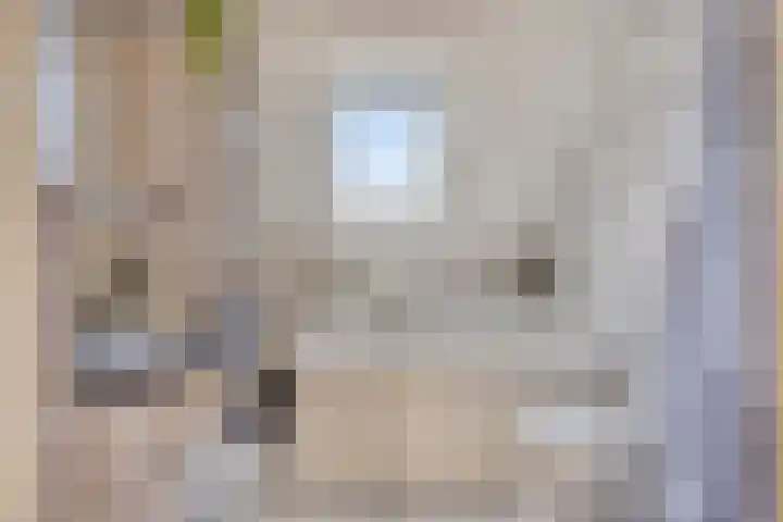 Brouwersbos 78 Cuijk thumbnail 4