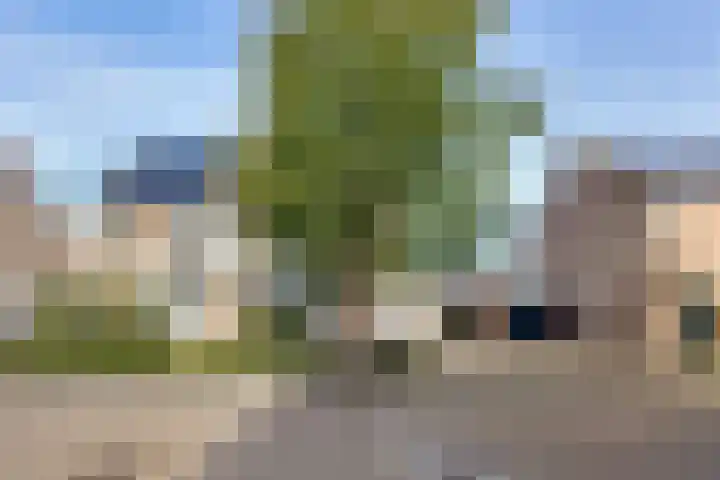 Brouwersbos 78 Cuijk thumbnail 5