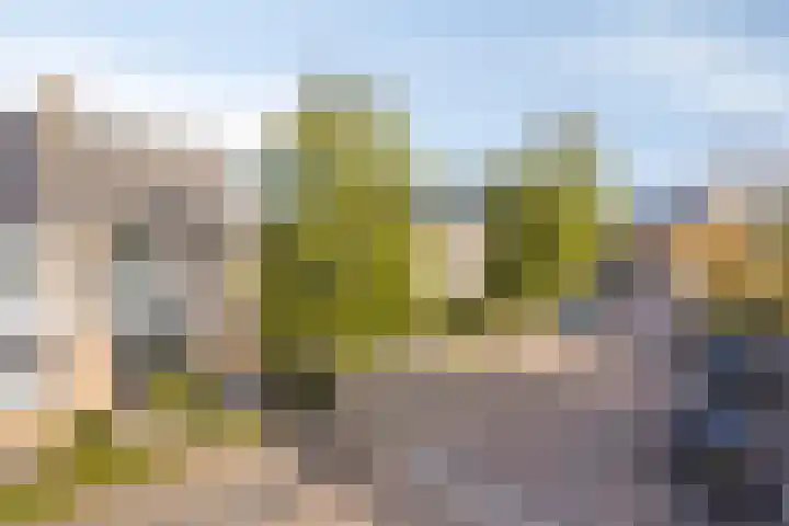 Brouwersbos 78 Cuijk thumbnail 7