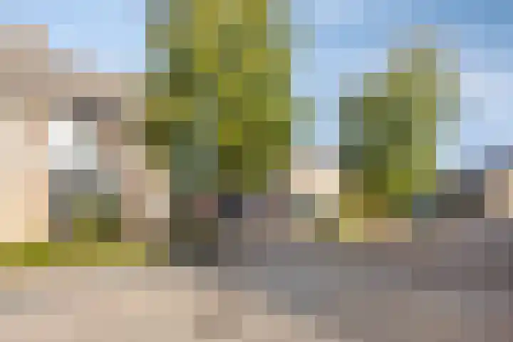 Brouwersbos 78 Cuijk thumbnail 8