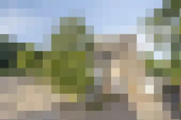 Brouwersbos 78 Cuijk thumbnail 9