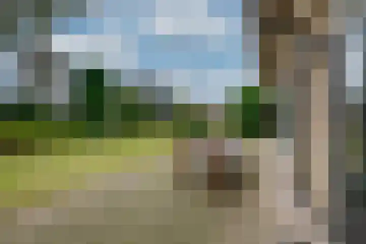 Brouwersbos 9 Prinsenbeek thumbnail 36