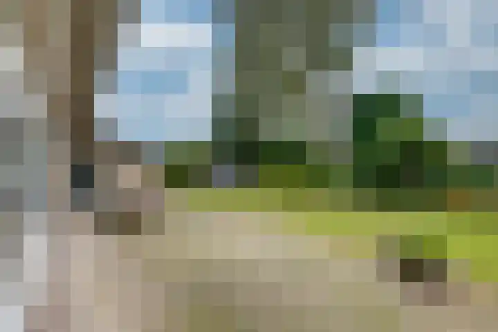 Brouwersbos 9 Prinsenbeek thumbnail 37
