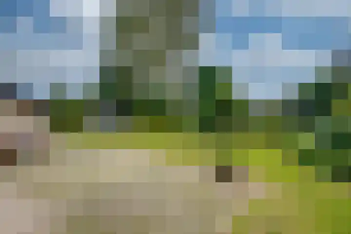 Brouwersbos 9 Prinsenbeek thumbnail 38
