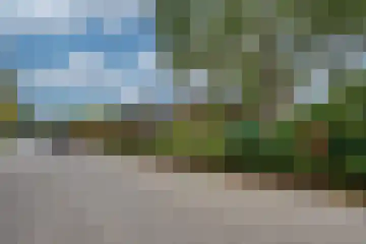 Brouwersbos 9 Prinsenbeek thumbnail 40
