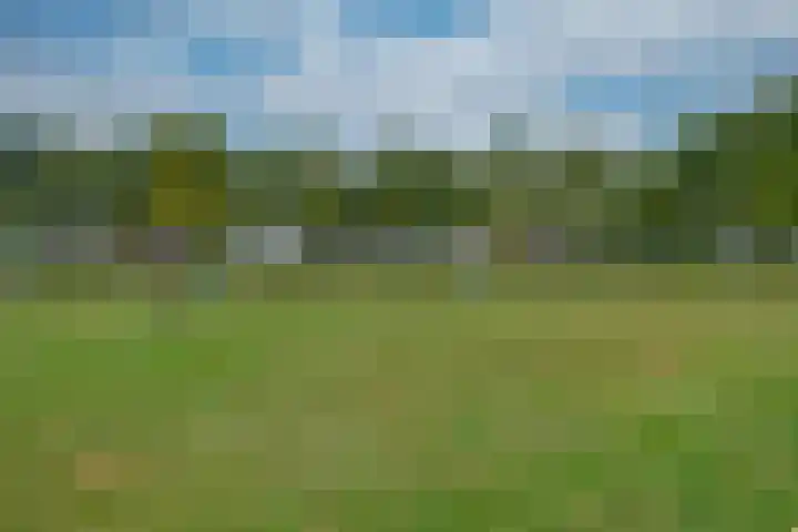 Brouwersbos 9 Prinsenbeek thumbnail 41