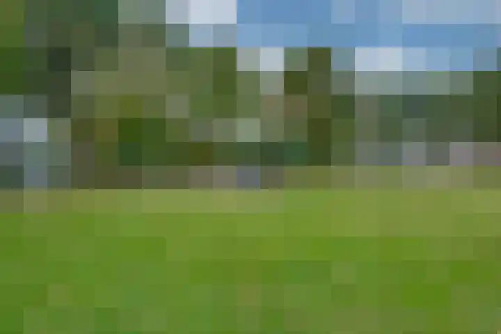 Brouwersbos 9 Prinsenbeek thumbnail 42