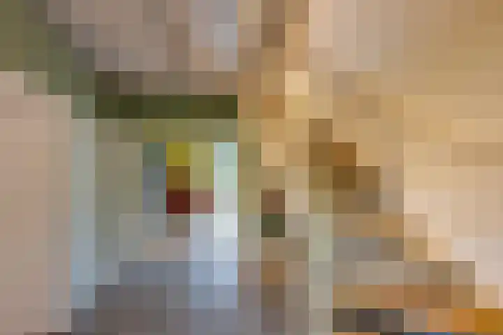 Brouwersbos 9 Prinsenbeek thumbnail 9
