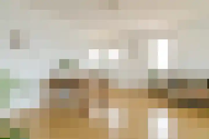 Brouwersdam 2 Hoofddorp thumbnail 14