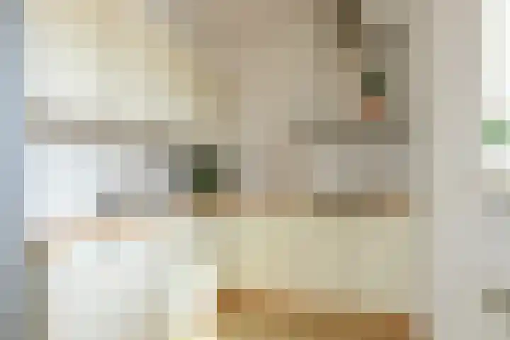 Brouwersdam 2 Hoofddorp thumbnail 16