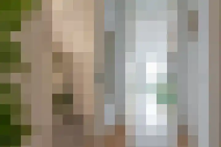 Brouwersdam 2 Hoofddorp thumbnail 18