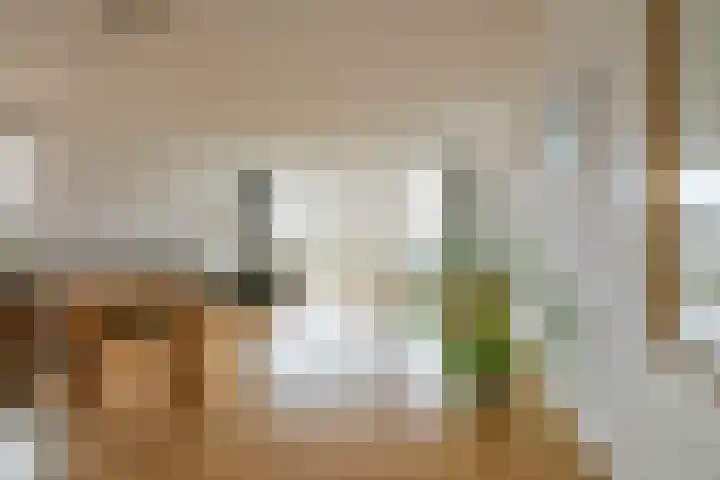 Brouwersdam 2 Hoofddorp thumbnail 9