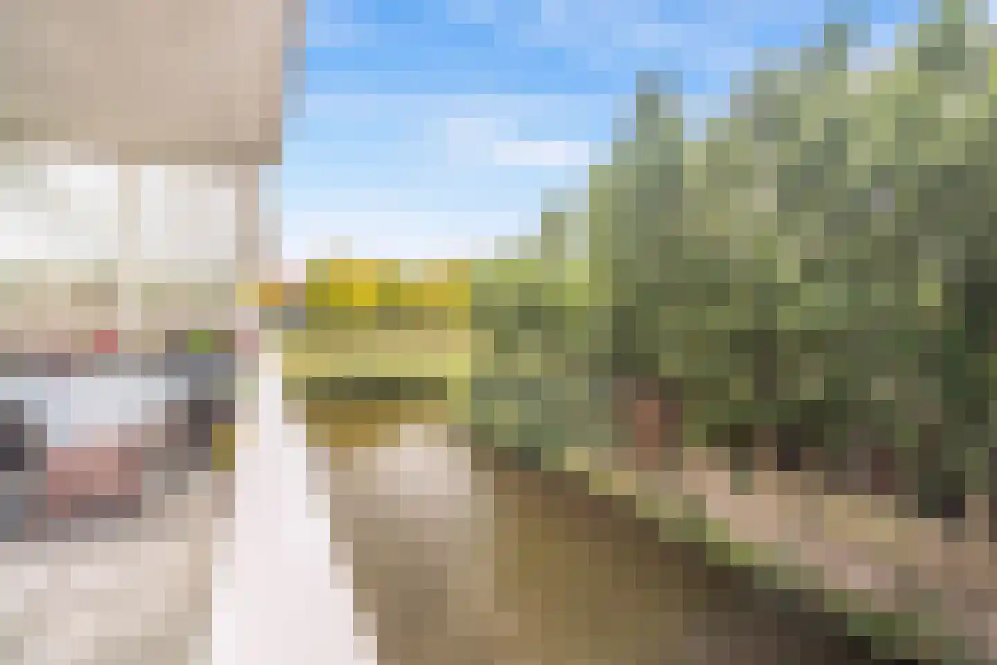 Brouwersdam 4 Hoofddorp thumbnail 22