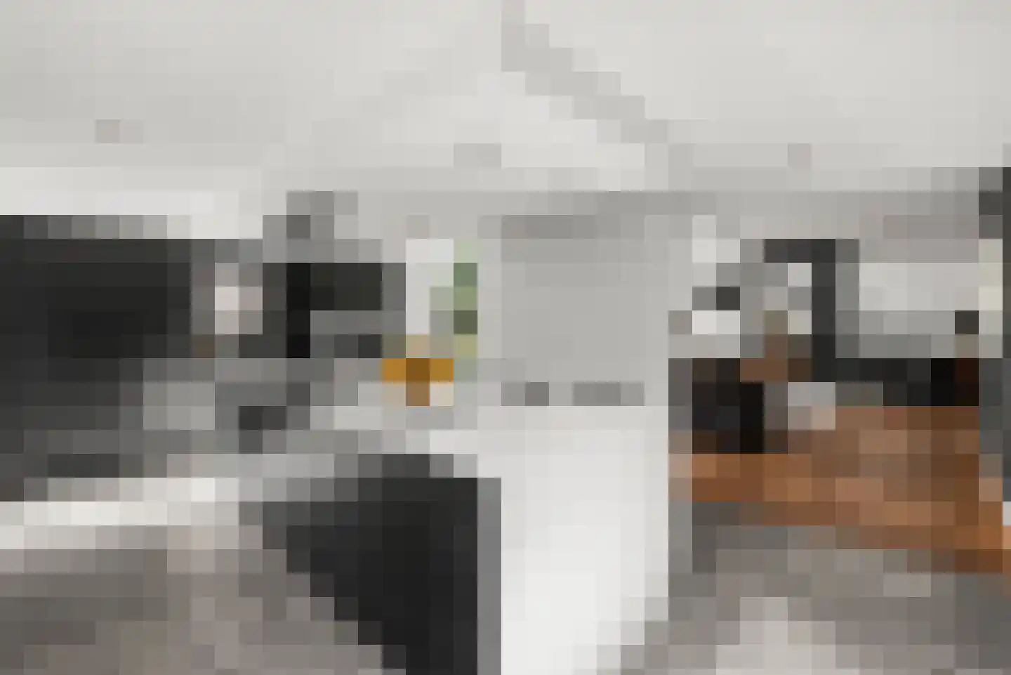 Brouwersdam 52 Hoofddorp thumbnail 21