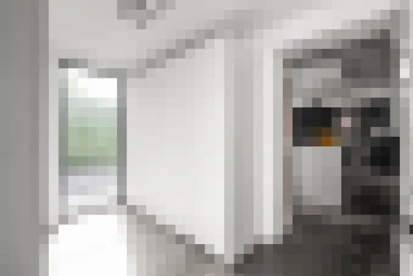 Brouwersdam 52 Hoofddorp thumbnail 25