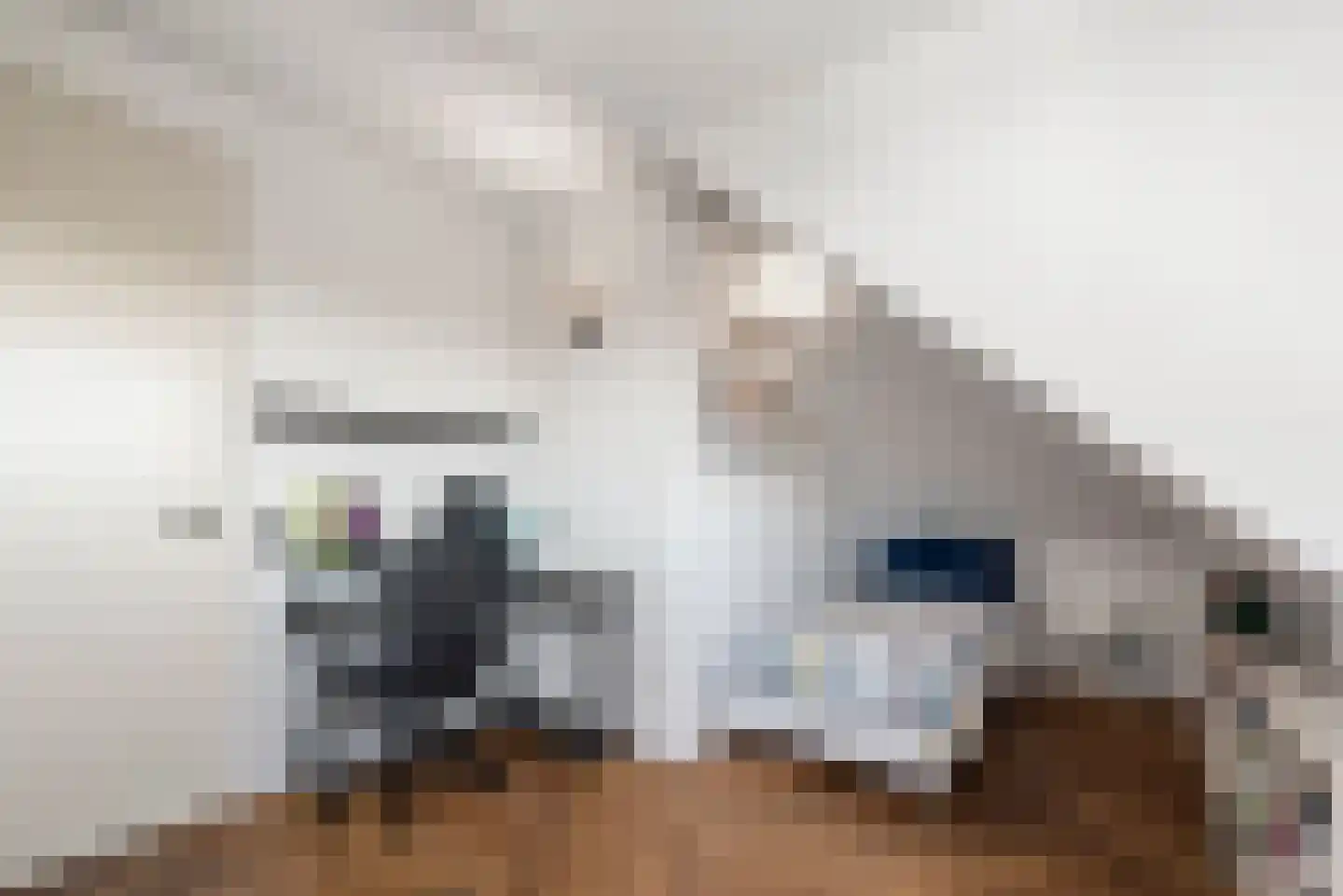 Brouwersdam 52 Hoofddorp thumbnail 53