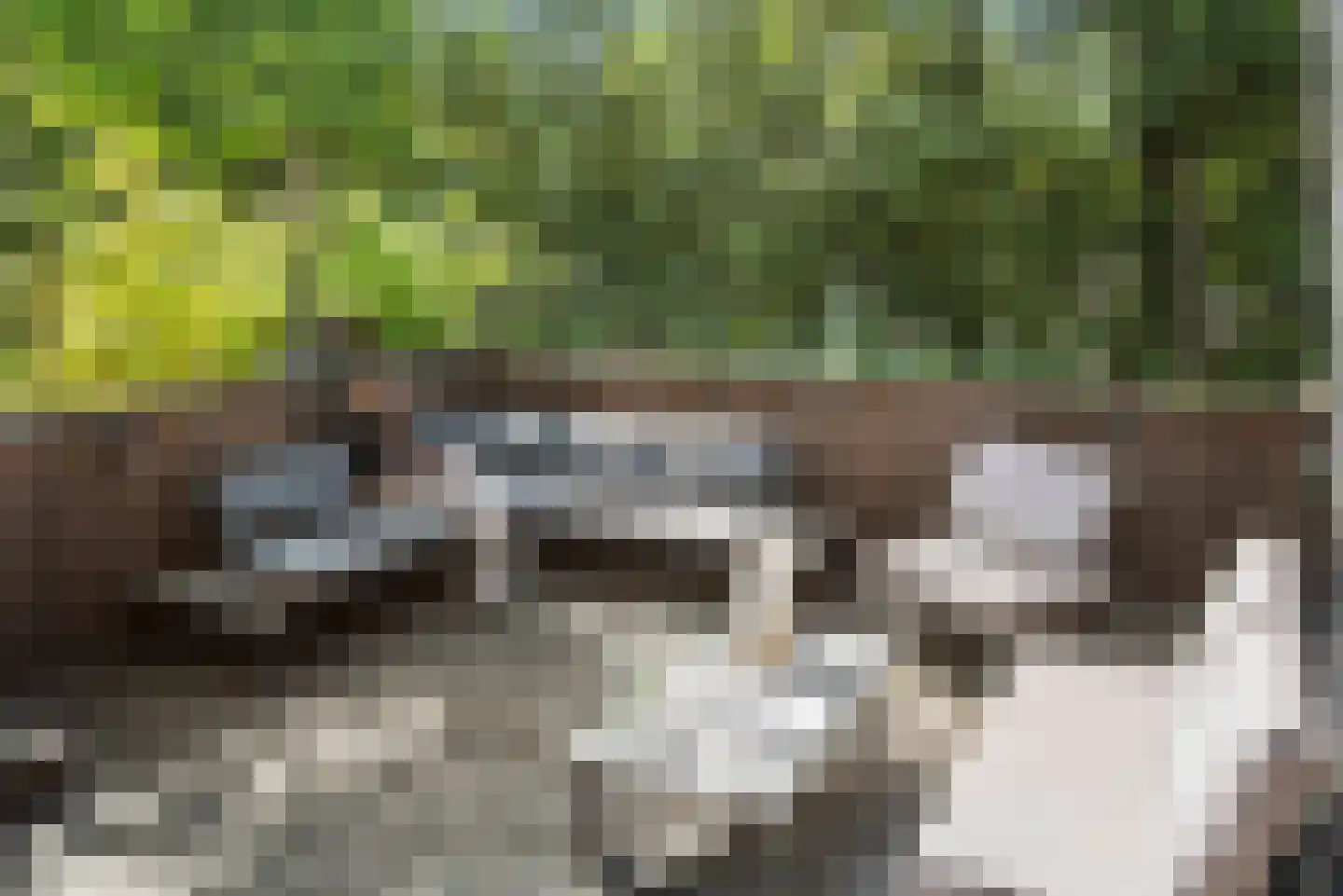 Brouwersdam 52 Hoofddorp thumbnail 67