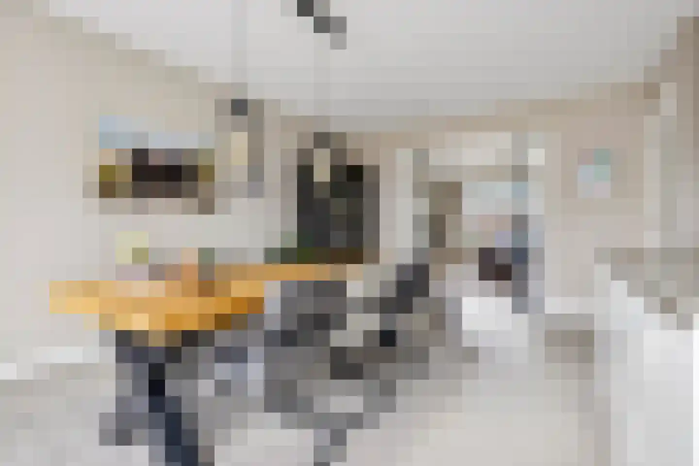 Brouwersdreef 24 Lieshout thumbnail 12