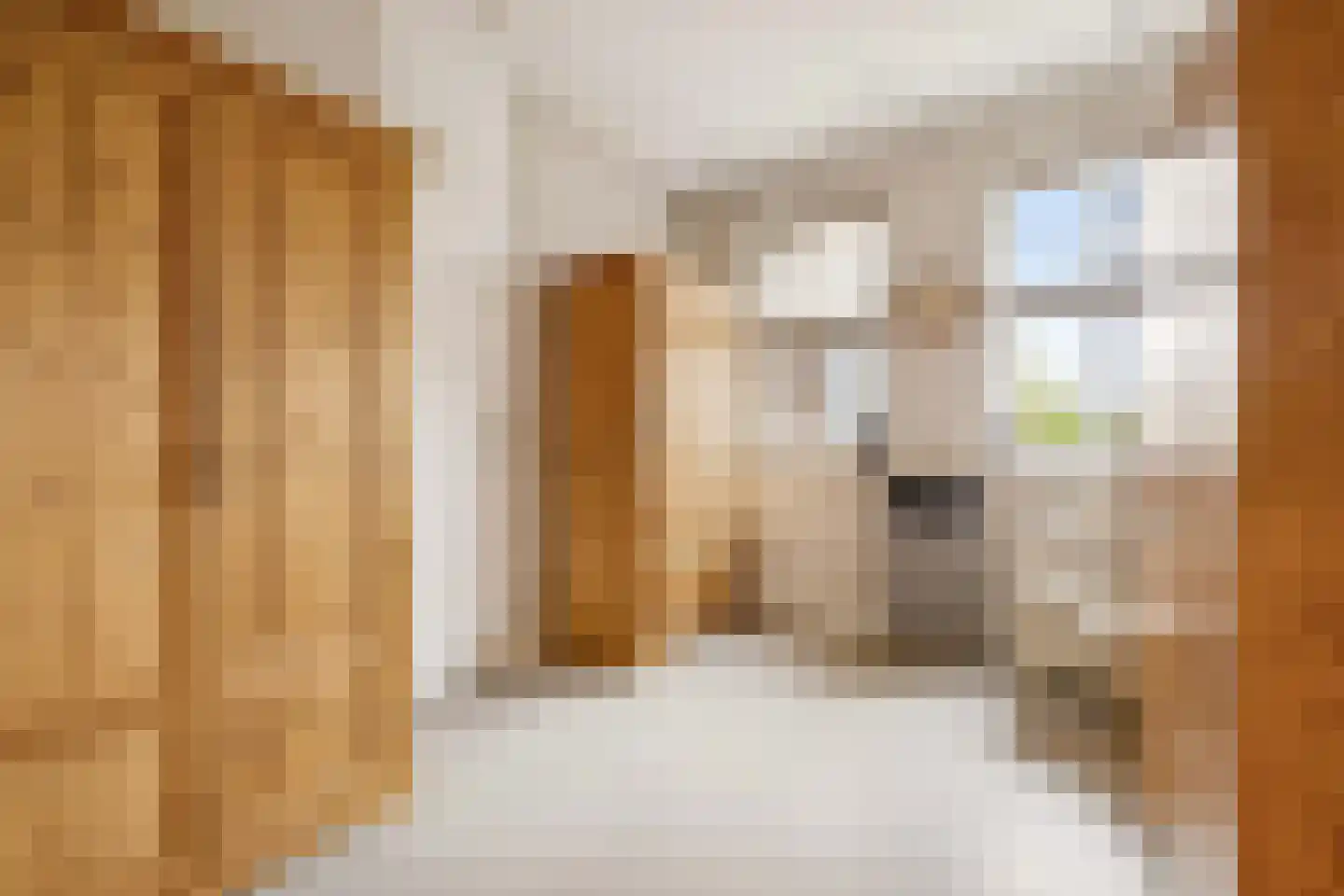 Brouwersdreef 24 Lieshout thumbnail 19