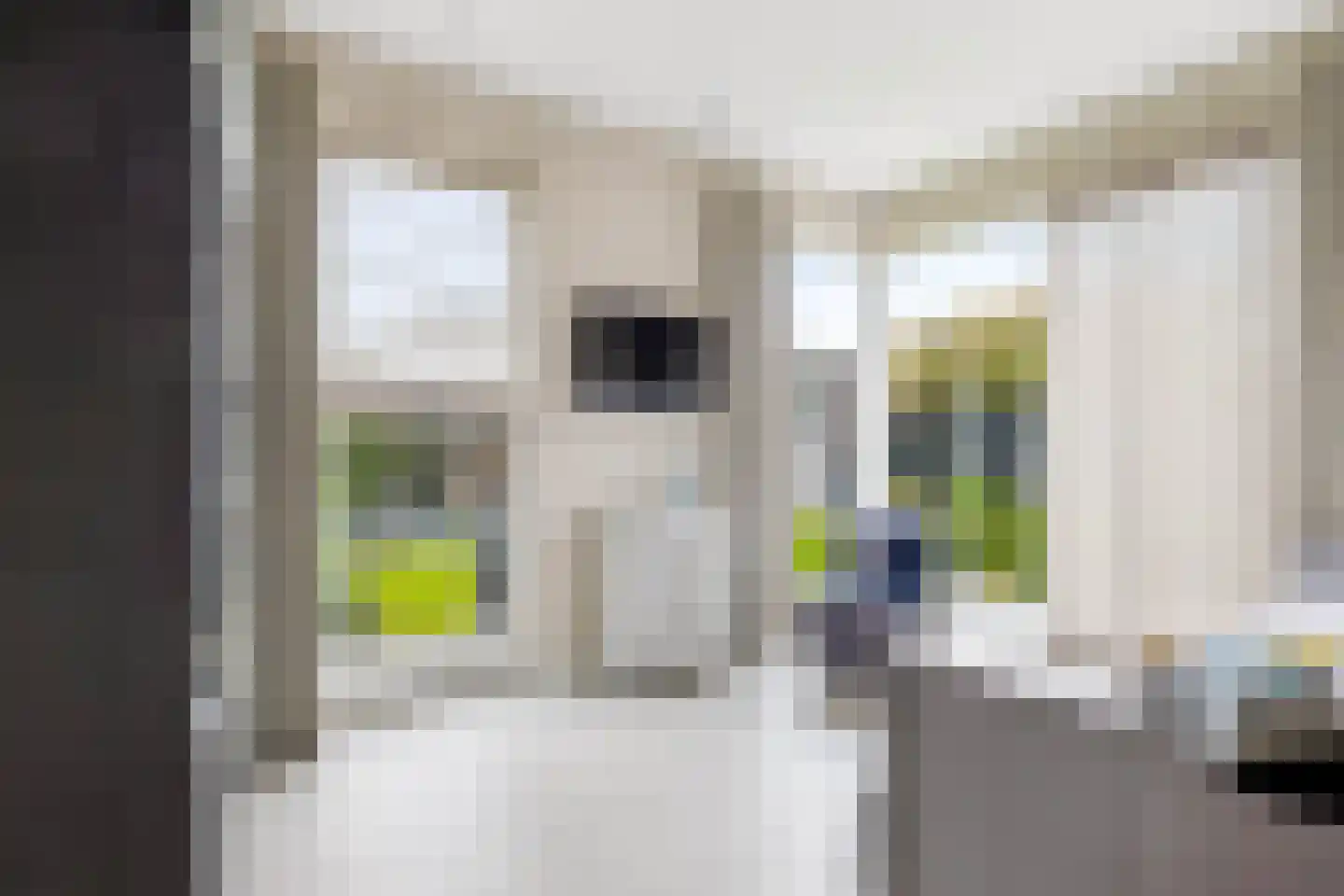 Brouwersdreef 24 Lieshout thumbnail 21