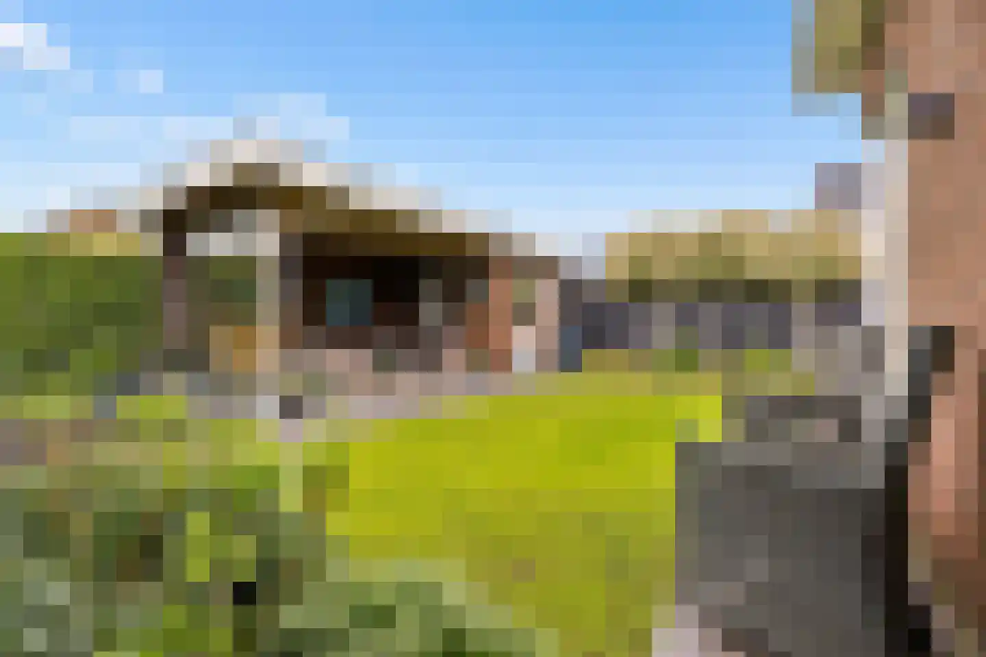 Brouwersdreef 24 Lieshout thumbnail 51