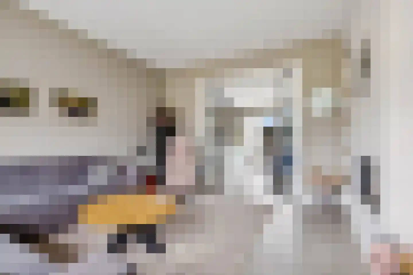Brouwersdreef 24 Lieshout thumbnail 8