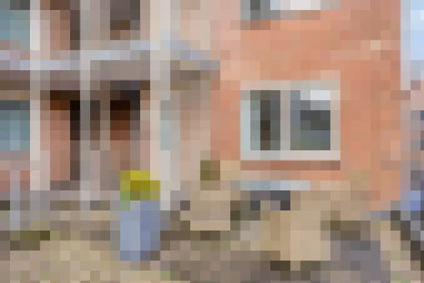Brouwersdwarsstraat 16 Meppel thumbnail 28