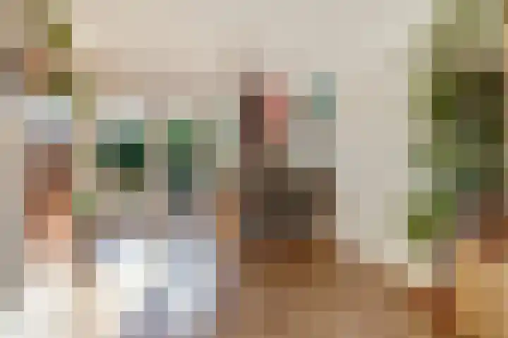 Brouwersgilde 4 Dronten thumbnail 12