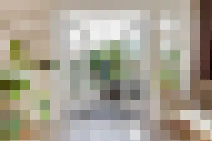 Brouwersgilde 4 Dronten thumbnail 13