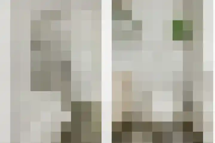 Brouwersgilde 4 Dronten thumbnail 26