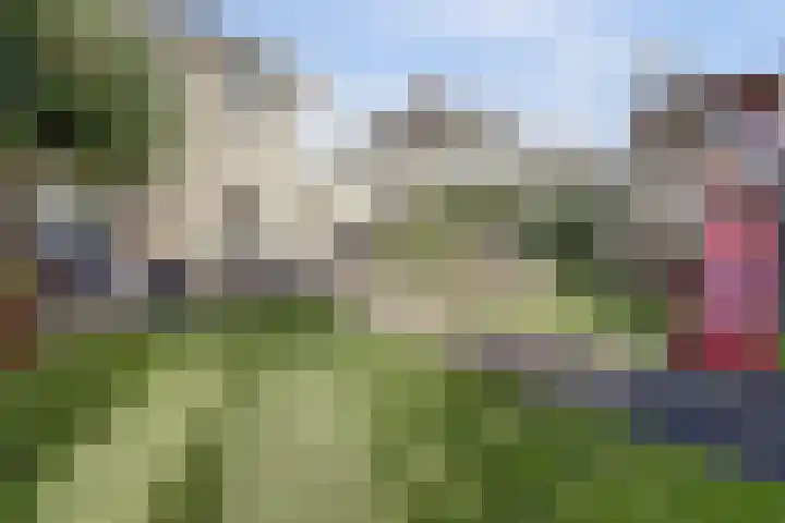 Brouwersgilde 4 Dronten thumbnail 31