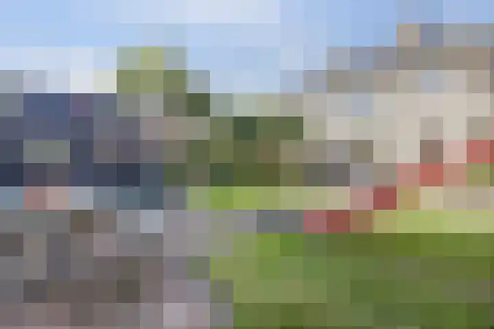 Brouwersgilde 4 Dronten thumbnail 32