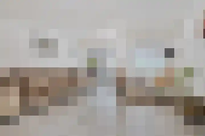 Brouwersgilde 4 Dronten thumbnail 33