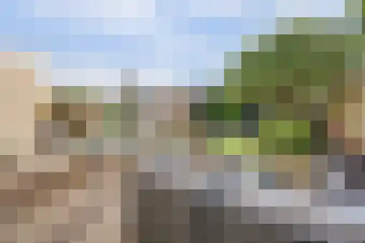 Brouwersgilde 4 Dronten thumbnail 34