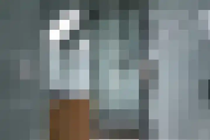 Brouwersgilde 4 Dronten thumbnail 4