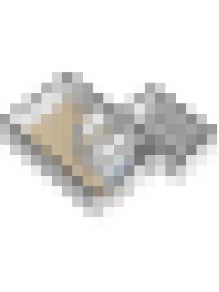 Brouwersgilde 4 Dronten thumbnail 45